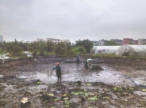 阿城河道鱼塘清淤